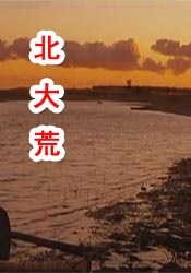 91香蕉直播视频深夜直播